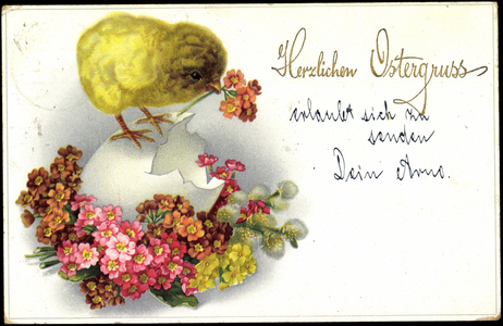 Artist Merry Easter, Chick hatches from egg, Meissner