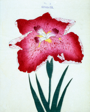 Senjo-To, no.5, 1898 (colour litho)