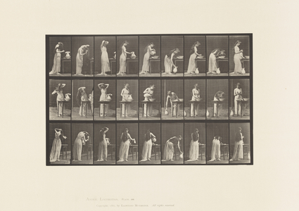 Plate 496. Miscellaneous Phases of the Toilet, 1885 (collotype on paper)
