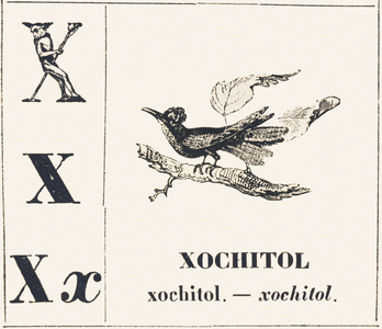 X for Xochitol, 1850 (engraving)