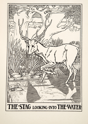 The Stag looking into the Water, from A Hundred Fables of Aesop, pub.1903 (engraving)