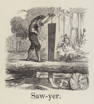 Sawyer (engraving)