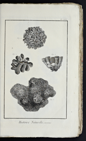 Recueil de planches, sur les sciences, les arts libéraux, et les arts méchaniques, avec leur explication by Diderot, Denis, 1762 (print)