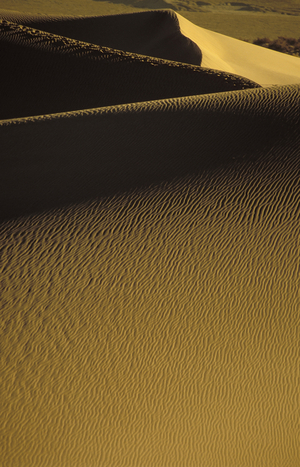 Creative Photography, Death Valley, 2000 (photo)