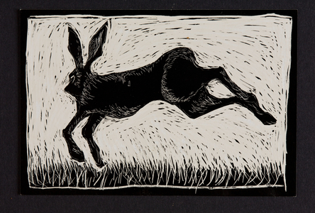 Leaping Rabbit, 2012 (scraperboard)