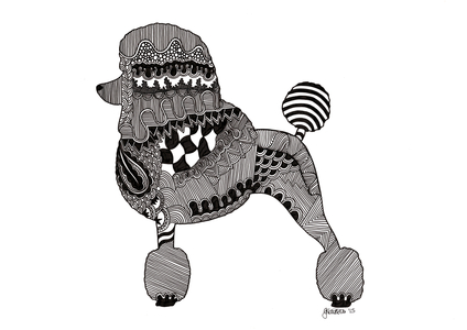 Poodle, 2015 (ink on bristol board)