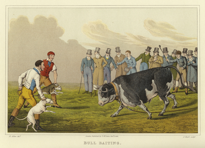 Bull Baiting (chromolitho)