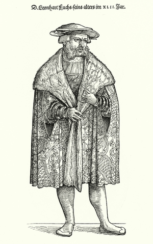 Dr Leonhart Fuchs, German physician, botanist and Professor at the University of Tubingen (engraving)