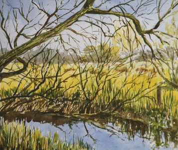 Water Meadows, Kintbury, early May afternoon, 1999 (w/c)