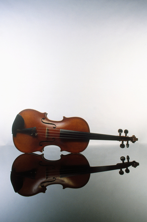 Violin - with