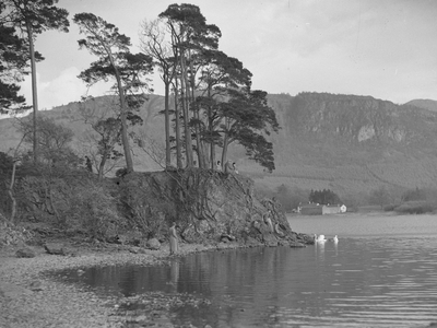 A group of people gathered at the lake edge, watching two swans on the lake, 1930s-60s (b/w photo)
