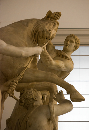 Roman art: Farnese Collection - Farnese Bull - Punishment of Dirce - Detail - Archaeological National museum - MANN, Naples, Italy