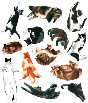 Lazy Cats, 2020 (oil on paper)