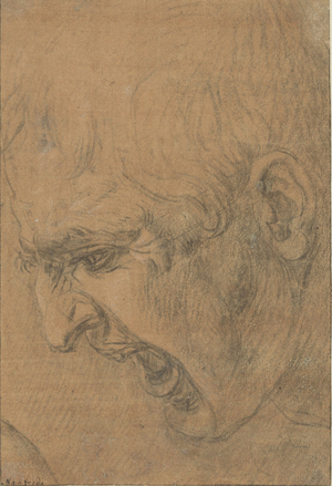 Head of a screaming man, 1500-1600 (chalk)