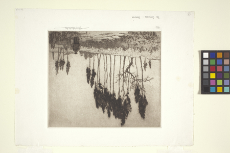 The Cypresses - Syracusa