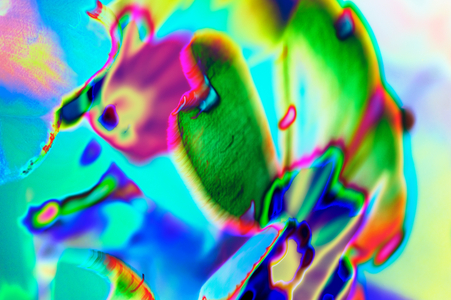Abstract Composition 'Untitled' #7 November 2018 (digitally manipulated photo)