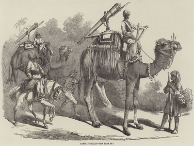 Camel Jingalls (engraving)