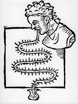 Air thermoscope: Sanctorius' (1651-1636) clinical thermometer (1612). One which was globe shaped was place in patient's mouth and the other in a bow of water. The serpentine thermometer was graduated with glass beads. Woodcut