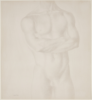 Male Torso, c.1955 (silverpoint on paper)