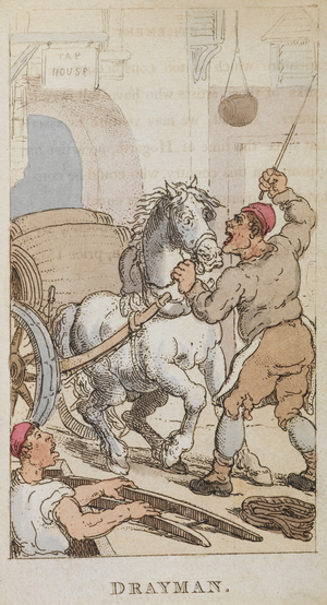'Drayman'. A drayman was the driver of a dray, a low, flat-bed wagon without sides, pulled by horses or mules.