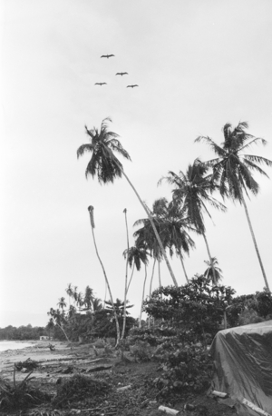 Puerto Viejo, 1991 (photo)