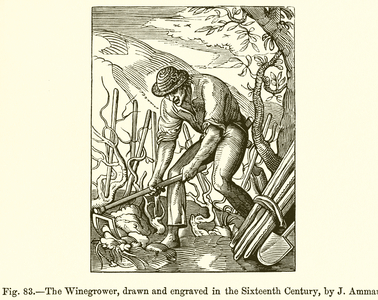 The Winegrower (engraving)