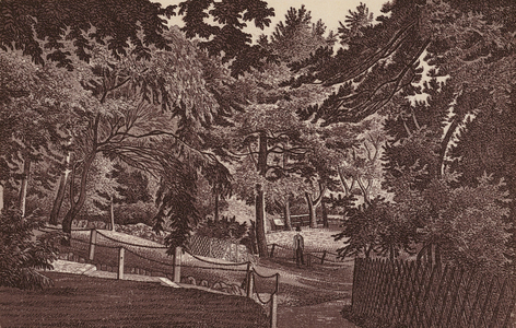 Southend-on-Sea: Interior of the Shrubbery (litho)