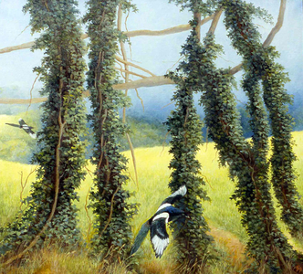 From the Bridle Path, Shoreham