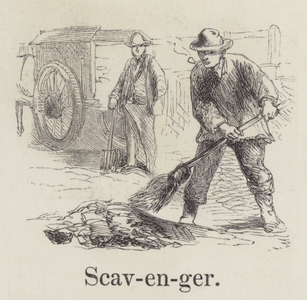 Scavenger (engraving)