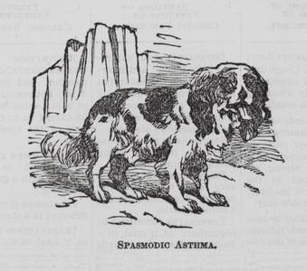 Spasmodic Asthma (engraving)