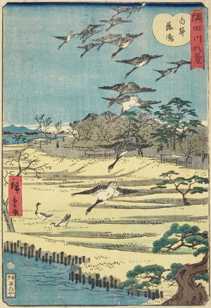Homing Geese at Shirahige, November 1861