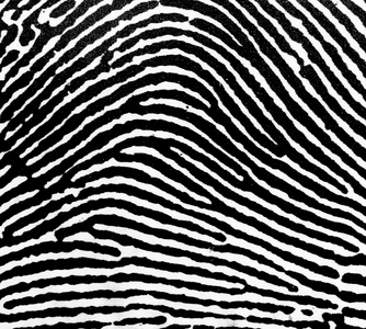 A Loop fingerprint, 1900