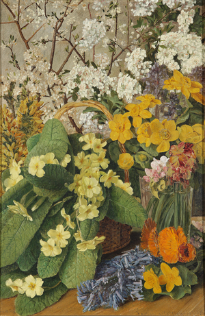 English Wild Flowers