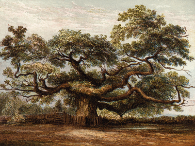 Crouch Oak, Addlestone (colour litho)