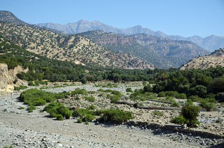 High Atlas Mountains landscape, from Riad, Taroudant Province, Souss-Massa-Draa Region, Morocco (photo)
