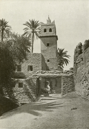 Biskra, Mosquee de Sidi Mcid (b/w photo)