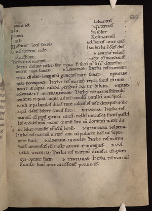Herbarium. Ex herbis femininis. Liber medicinae ex animalibus, 1090-1100 (illustrated manuscript)