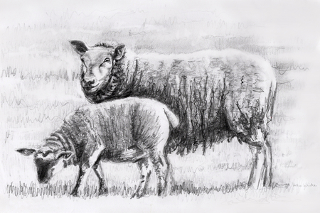 Pair, 2018, (pencil drawing)