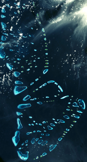 Satellite view of North and South Malosmadulu Atolls in the Maldives, northern Indian Ocean, southwest of India, made up of a chain of 1,192 small coral islands, which are grouped into clusters of atolls. Credit NASA. Science 