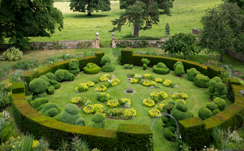 Chastelton House (17th century), National Trust, Oxfordshire, topiary garden (photo)