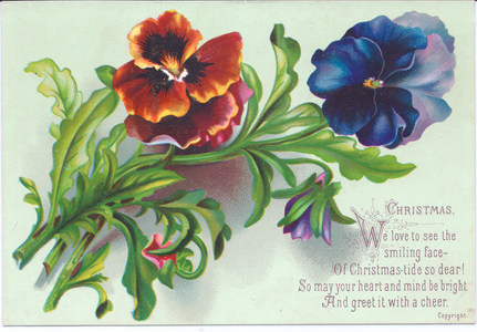 A Victorian Christmas card of a spray on pansies, c.1880 (colour litho)