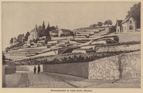 Terraced vineyard of Haardt Castle, Rhineland-Palatinate (b/w photo)