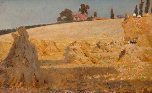 The Cut Corn (oil on board)