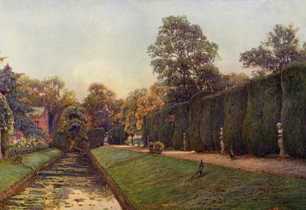 The Great Hedge at Campsea Ashe, Suffolk (colour litho)