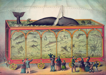 19th Century Circus Aquarium, 1873 (lithograph)