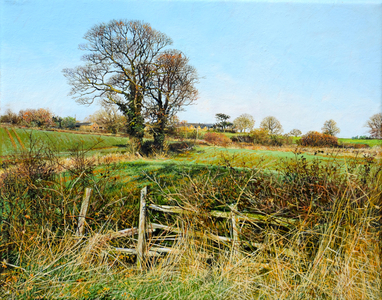 Boughton Landscape (oil)
