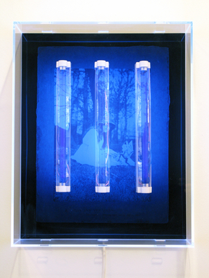 UV Garden, Iris and the Gnome, 2008 (Silkscreen on acrylic, UV light and light fixtures)