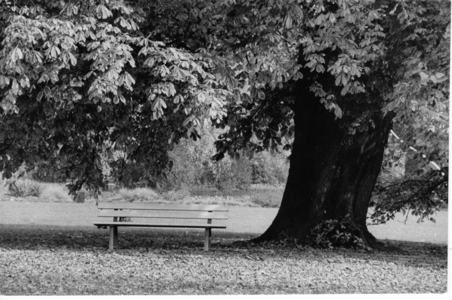 Friendship Island in Potsdam, Germany, 1990 (photo)