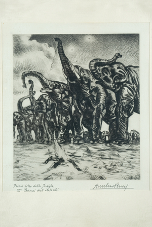 The Dead Tiger, c.1950-1975 (chalcography)