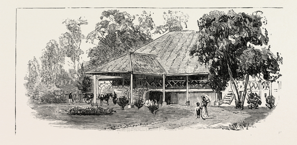 The Cultivation of Tobacco in Sumatra, Indonesia: A Planter's House, 1890 Engraving